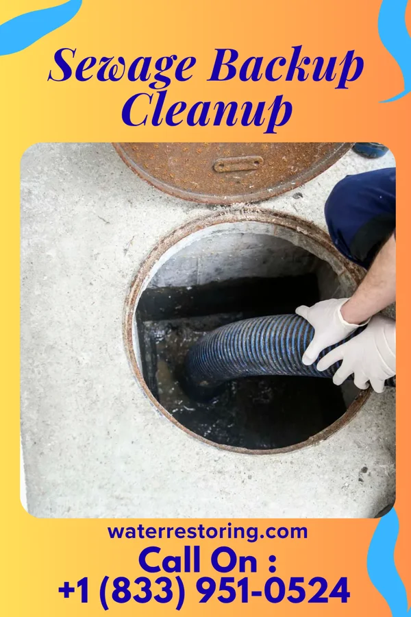 Sewage Backup Cleanup in Aurora, NE